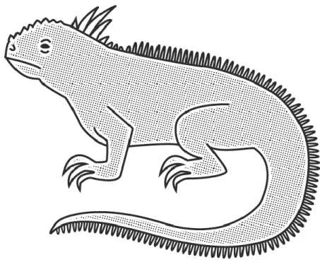 ġekil  4.22.  Galapagos  iguanası  dokunsal  diyagramı.  (Jacquie  Jeanes  tarafından  tasarlanan 