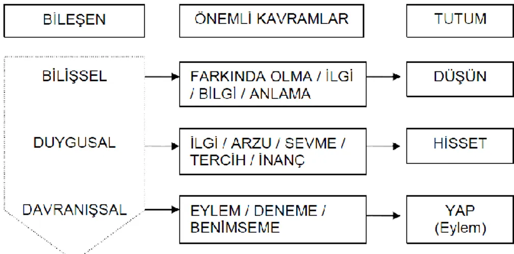 Şekil 3. 3 Tutum Bileşenleri ve Tutum Geliştirme Süreci . 