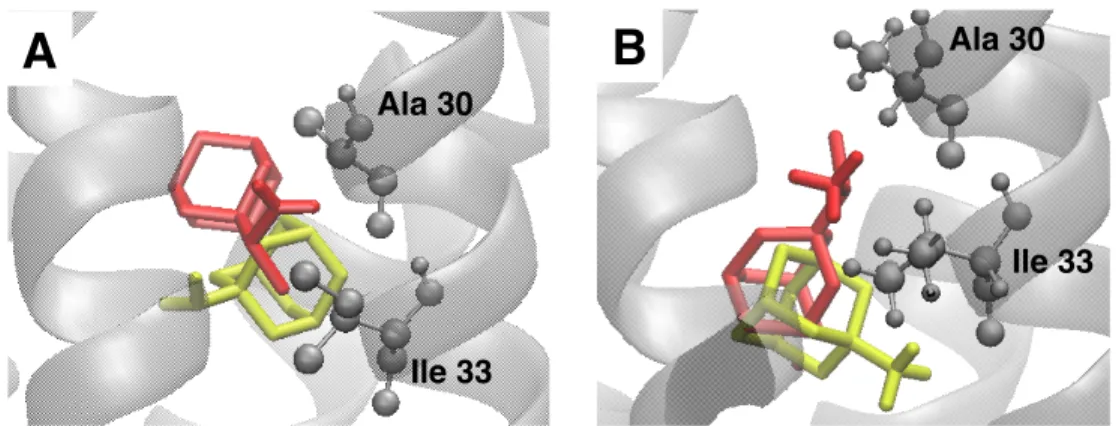 Figure 5. A) Orientations of deprotonated ligands, B) orientations of protonated ligands