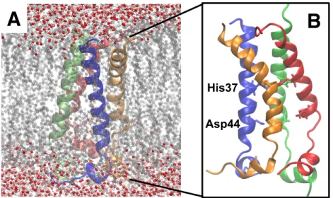 Figure 6. A) System that was utilized in classical MD simulations. M2 protein was embedded in DPPC lipid bilayer