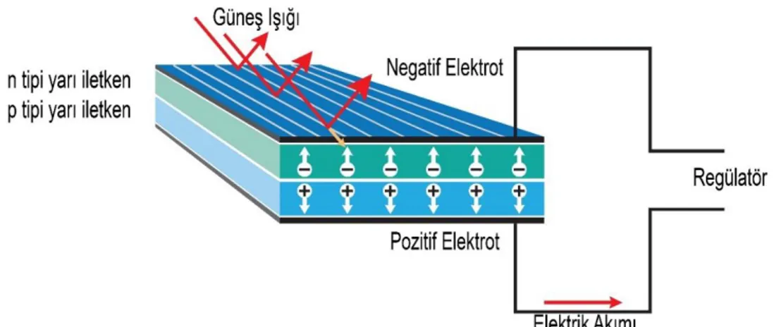 Şekil 3.2  Fotovoltaik Hücrenin Enine Kesiti 