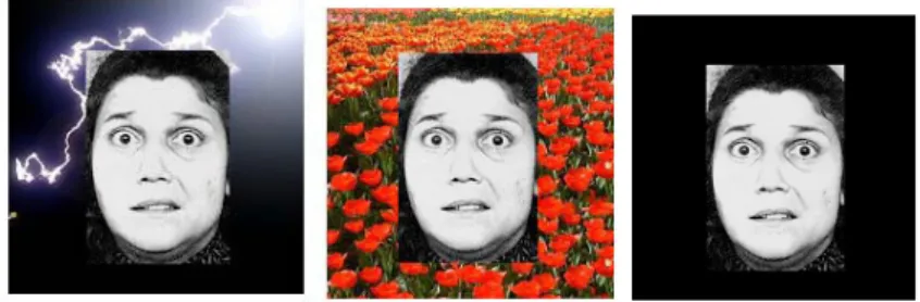 Figure  2:  Samples  of  face  image  with  background  image  of  lightening,  flower  garden  and  black screen