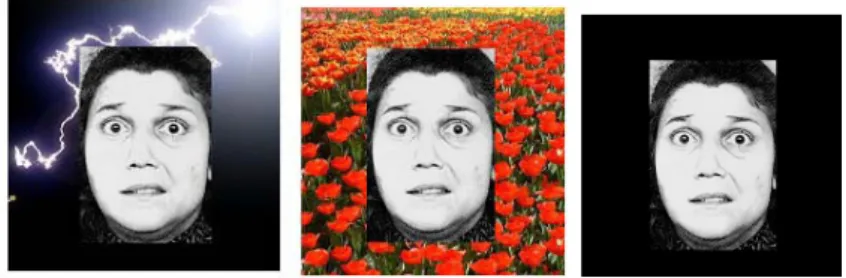 Figure  2:  Samples  of  face  image  with  background  image  of  lightening,  flower  garden  and  black screen