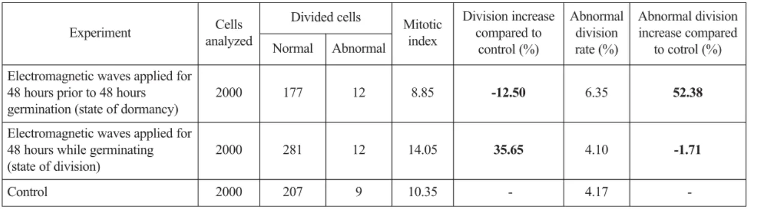 Fig. 3. Normal mitosis stages in the root tip cells of control L. culinaris seeds (scale bars: 10 µm).