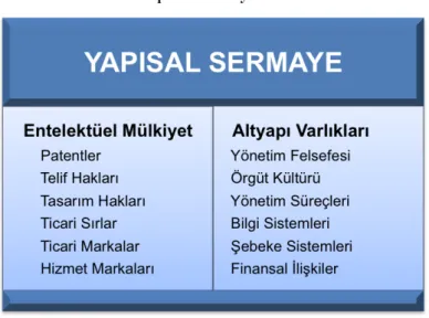 Tablo 2: Yapısal Sermayenin Unsurları