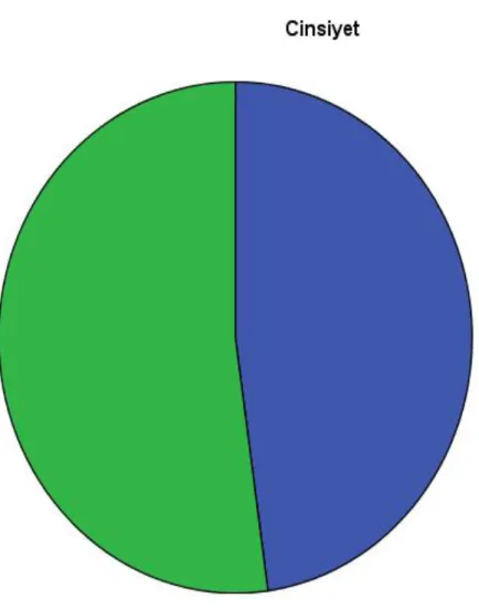 Şekil 1: Araştırma grubunun cinsiyete göre dağılımı 