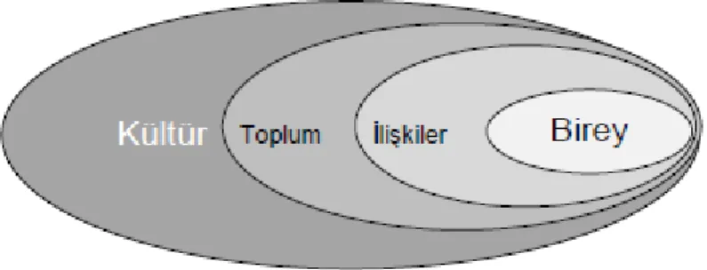 Şekil 1. Şiddeti Anlamada Ekolojik Model (Yıldız, 2011, s:4) 