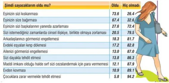 Tablo 3 :Şiddet gören kadın oranı (Gür,2012) 