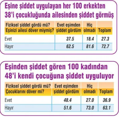 Tablo 4 :Aile içi şiddet etki oranı (Gür,2012) 