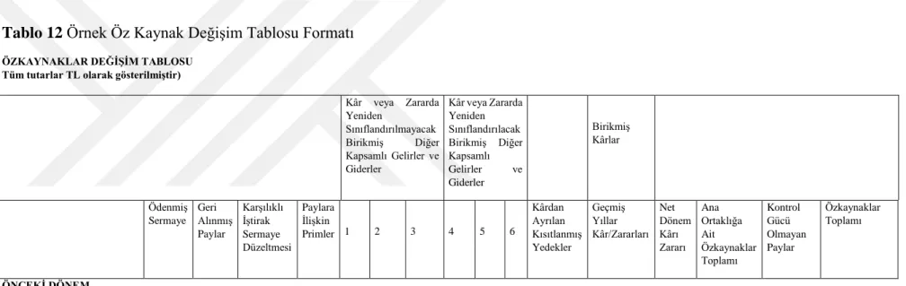 Tablo 12 Örnek Öz Kaynak Değişim Tablosu Formatı 