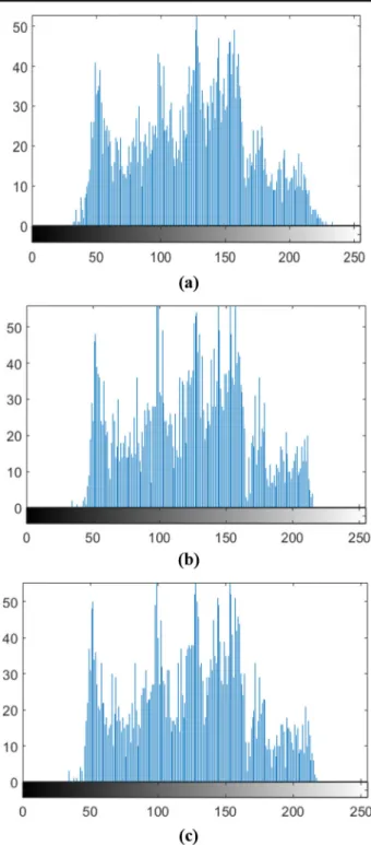 Fig. 18 (a,d,g,h) The salt-pepper noisy Lena image (b,e,h,k) The salt-pepper noisy Lena image that is filtered on the square domain by mean, weighted average, Gaussian and median filters respectively (c,f,i,l) The salt-pepper noisy Lena image that is filte