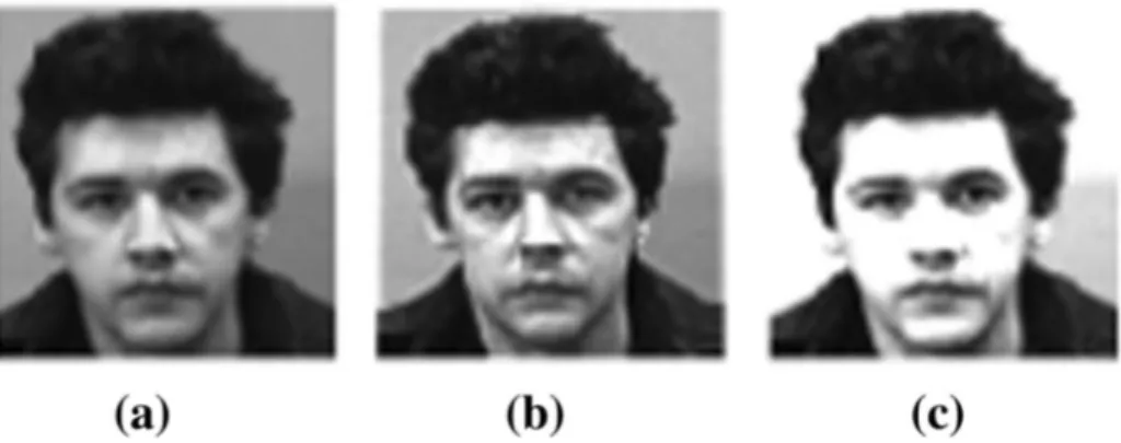 Fig. 20 (a) Original image (b) Image sharpened on the square domain (c) Image sharpened on the hexagonal domain