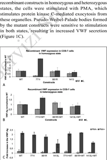 Figure 1 -  (A) Recombinant VWF levels in media and lysates.  Transfection of wild-type (WT) and mutant plasmids  alone (n=3) to mimic the homozygous state