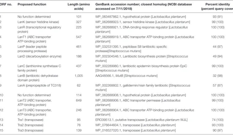 TABLE 3 | Open reading frame (ORF) analysis of the putative paraplantaricin TC318 biosynthetic gene cluster and flanking genes.