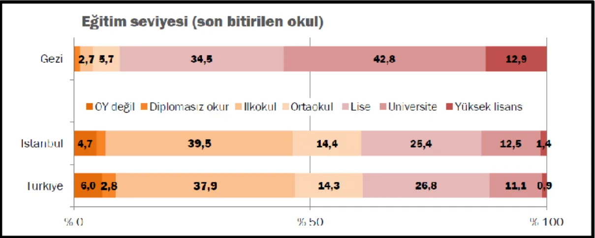 Tablo 3. Gezi Parkı Eylemcilerinin Eğitim Seviyesi 