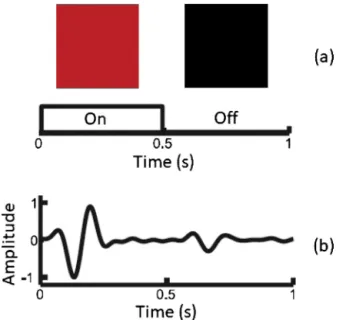 Fig. 3. Frequency spectrum of SSVEP that contains ﬁrst and second harmonics at the frequencies of 4.56 Hz and 9.16 Hz.