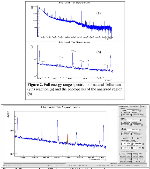 Figure 3. The screen shot of Theia with 487.062 keV photopeak parameters 