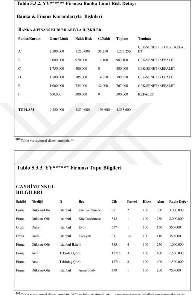 Tablo 5.3.2. YY****** Firması Banka Limit Risk Detayı  Banka &amp; Finans Kurumlarıyla  ĠliĢkileri 