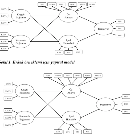 Şekil 1. Erkek örneklemi için yapısal model 
