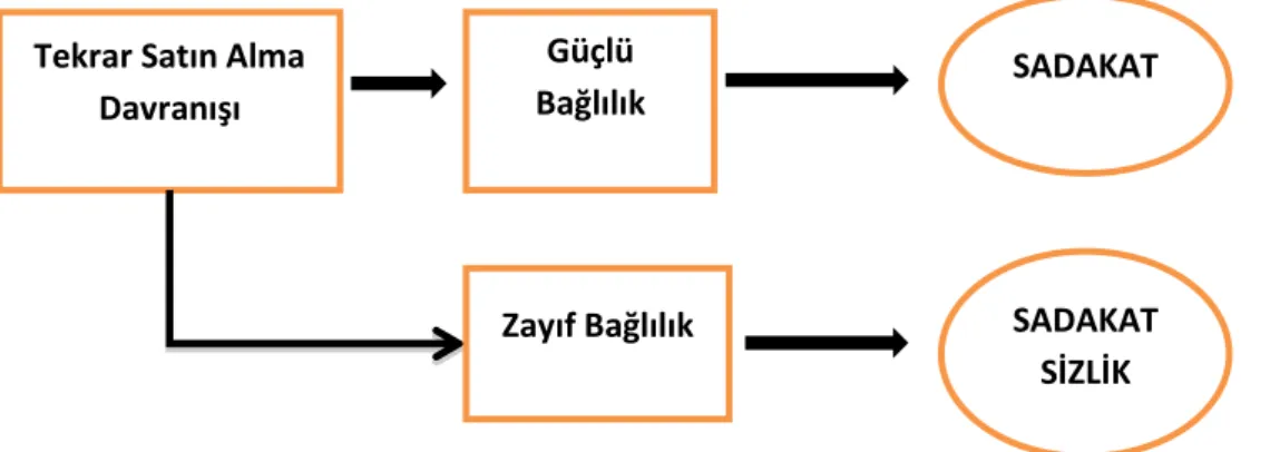 ġekil 6: Murat Selim Selvi, Marka Yönetimi, Detay Yayncılık, Ankara, 2007, s.62. 