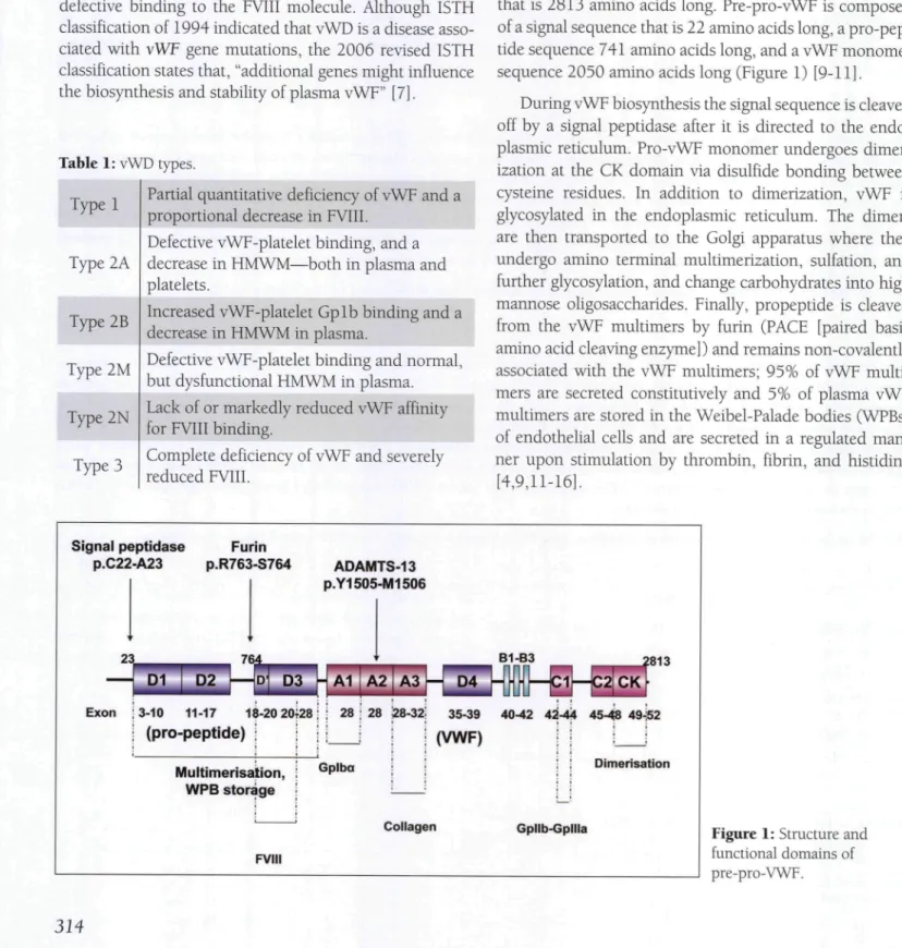 Table 1: vWD types. Type 1 Type 2A Type 2B Type 2 M Type 2N Type 3