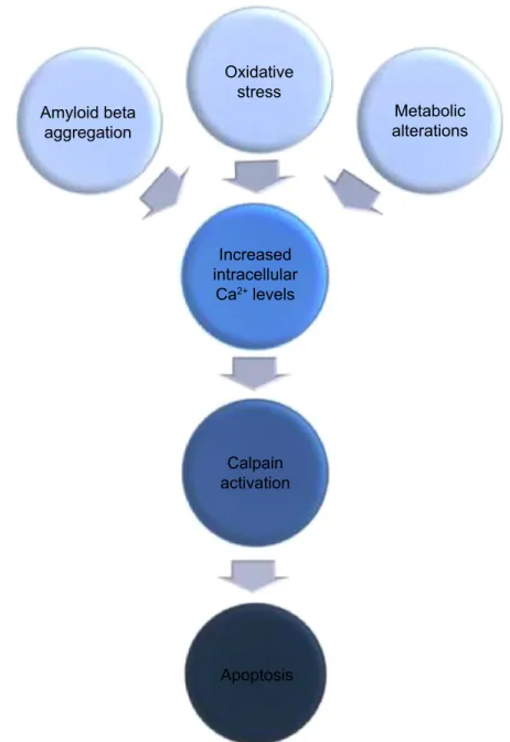 Figure 1 Schematic illustration of calpain-mediated apoptotic progression of neurons as a result of different neurodegenerative stimuli.