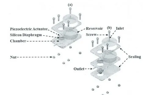 Fig.  1. Exploded view of the micropunips, (a)  SDM, (b)  BDM.
