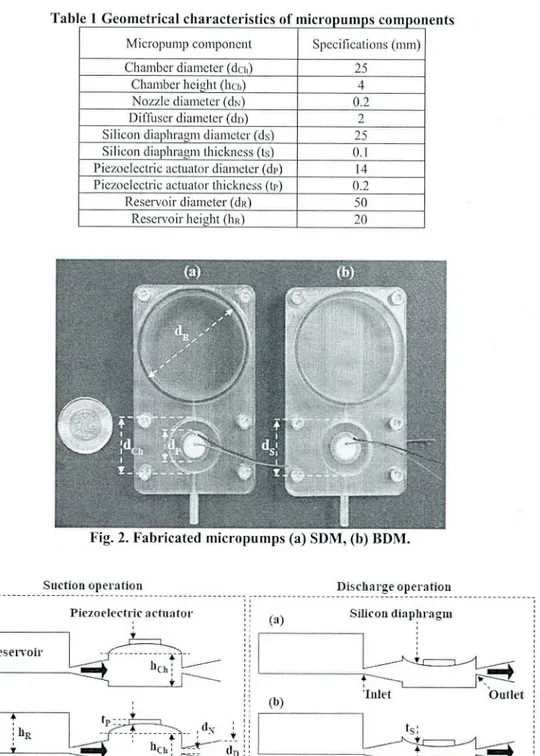 Fig.  2. Fabricated  micropumps (a) SDM, (b)  BDM.