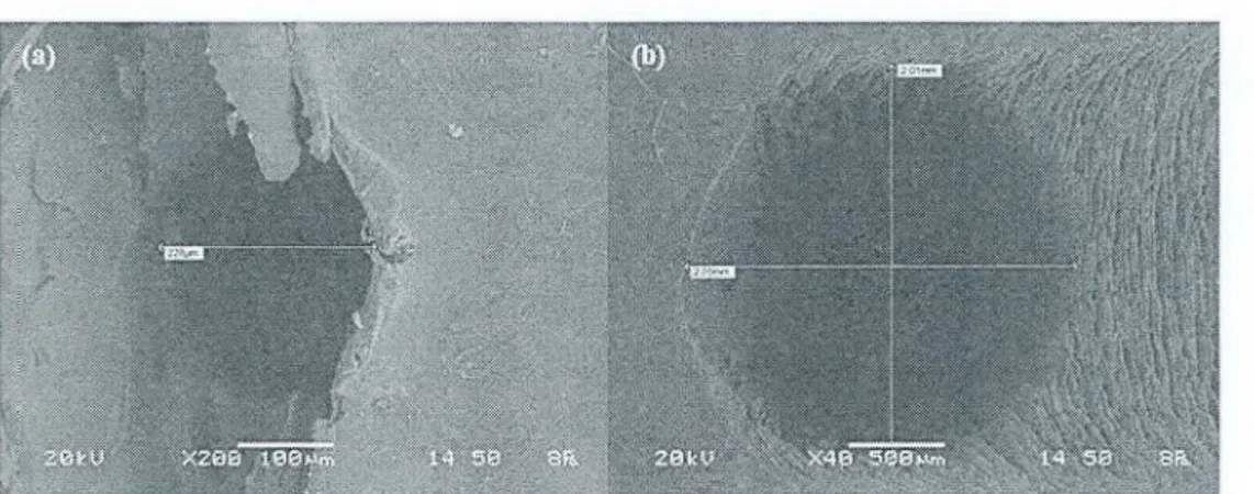Fig.  7.  A (SEM) images of PMMA  (a) Nozzle/ diffuser inlet (h) Nozzle/ diffuser outlet.