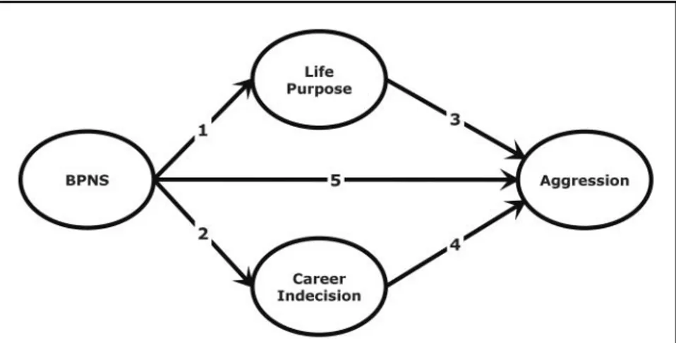 FIGURE 1. Hypothesized structural model relating the relationships among the variables basic psychological needs satisfaction (BPNS), life purpose,  ca-reer indecision and aggression