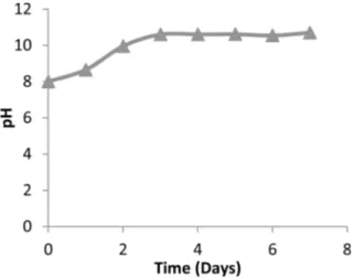 Fig. 13. Absorbance levels and cell viability of TT1000 in 24 hours and 7 days.
