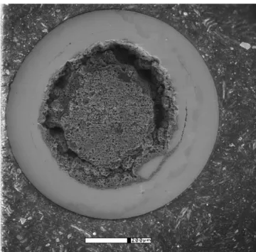 Fig. 1. Typical SEM micrographs of cross section area of Cu/MgB2 wire. The white scale bar is 200 ␮m.