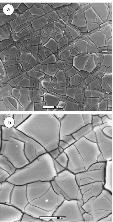 Fig. 5. Typical SEM micrographs of the surface of sol–gel insulated Cu/MgB2 wire. The scale bar are 20 ␮m, and 10 ␮m, in (a) and (b) respectively.