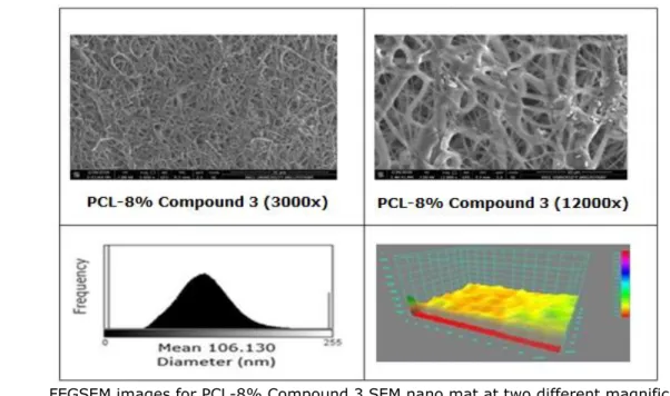 Figure 5. FEGSEM images of nanocomposites at two different magnifications (3000x and 12000x),  their histograms and topological views