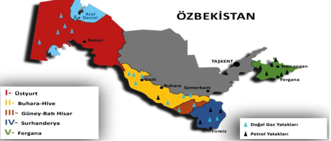 Şekil 1.3. Özbekistan'ın Petrol ve Doğalgaz Yatakları. 