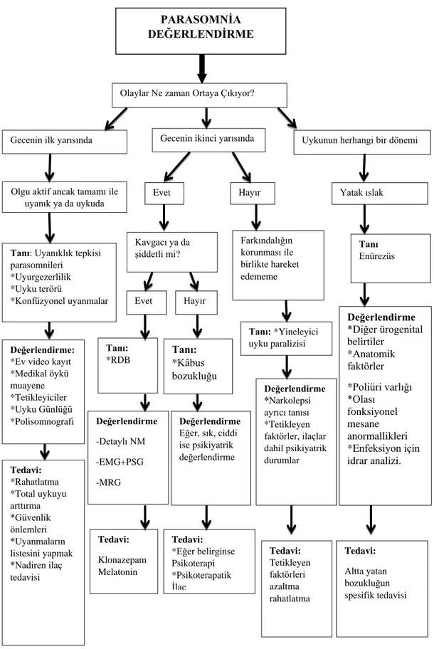 Şekil 2.2. Parasomniaların Değerlendirilmesi ve Tedavisi 