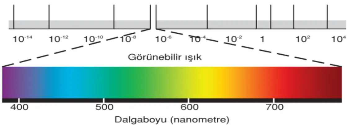 Şekil 3.2. Görülebilir Spekrumda Renk