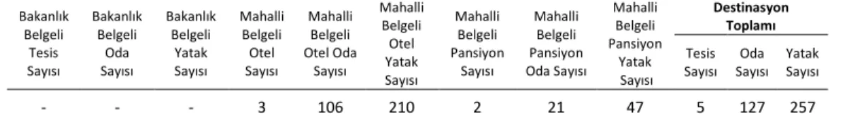 Tablo 2: Konaklama Tesisleri Envanteri