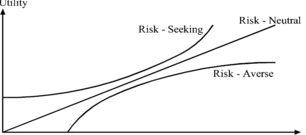 Figure 3.1: Risk Behaviour with utility function 
