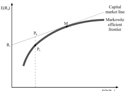Figure 3.4: Capital Market Line 
