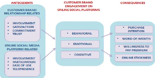 Figure 3.1: Conceptual Model of Customer Brand Engagement on Online Social Media  Platforms 