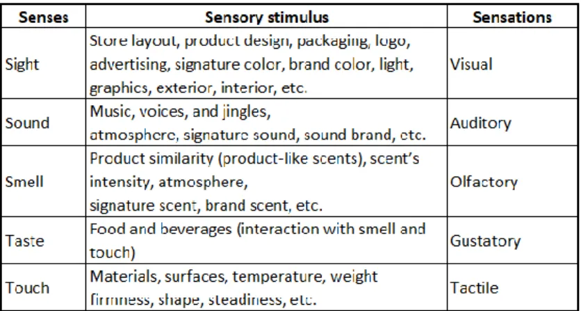 Table 8. Senses, sensory stimulus and sensations  