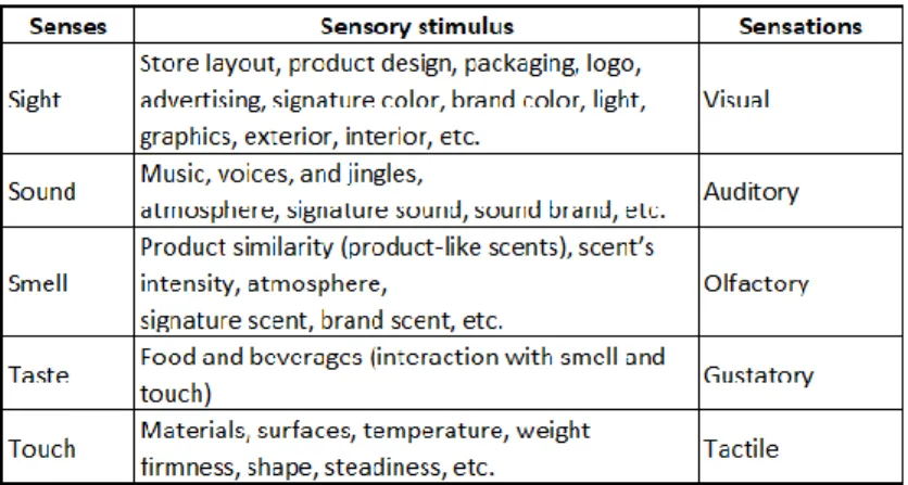 Table 8. Senses, sensory stimulus and sensations  
