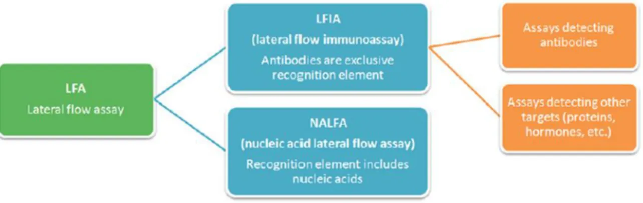 Figure 0.9 Classification of lateral flow assay[63]. 