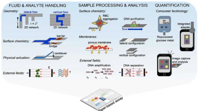 Figure 0.11 Paper-based sensors used in analytical capabilities overview. Processing  strategies and the analyte fluid sample processing and analysis and experiments with  paper-based processing strategy and the analyte fluid, sample processing and analysi