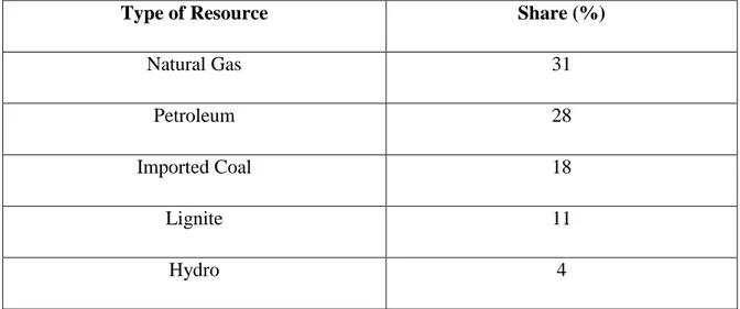 Figure 6: Turkey’s Primary Energy Supply in 2013 