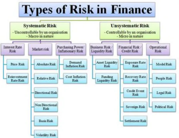 Figure 1:  Types of Risks 