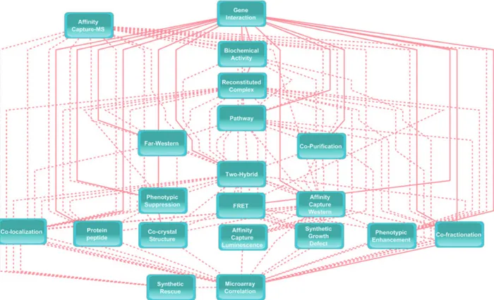 Fig. 2. Topology of the BNP. BNP depicts the conditional dependence structure between various evidence types and the GI node based on external biological knowledge