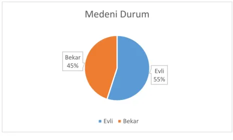 Şekil 1.3 Gelir Düzeyi 