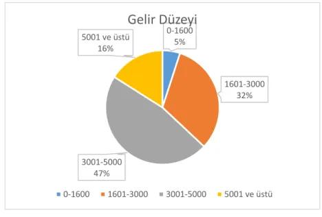 Şekil 1.4 Oturulan Konut Sahipliği 